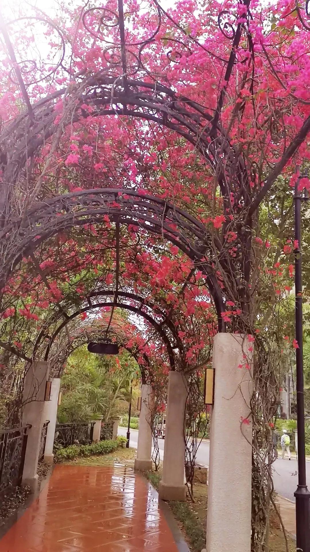 濮戝珎鏃呰璁板綍,濮戝珎鏃呰鏃ヨ