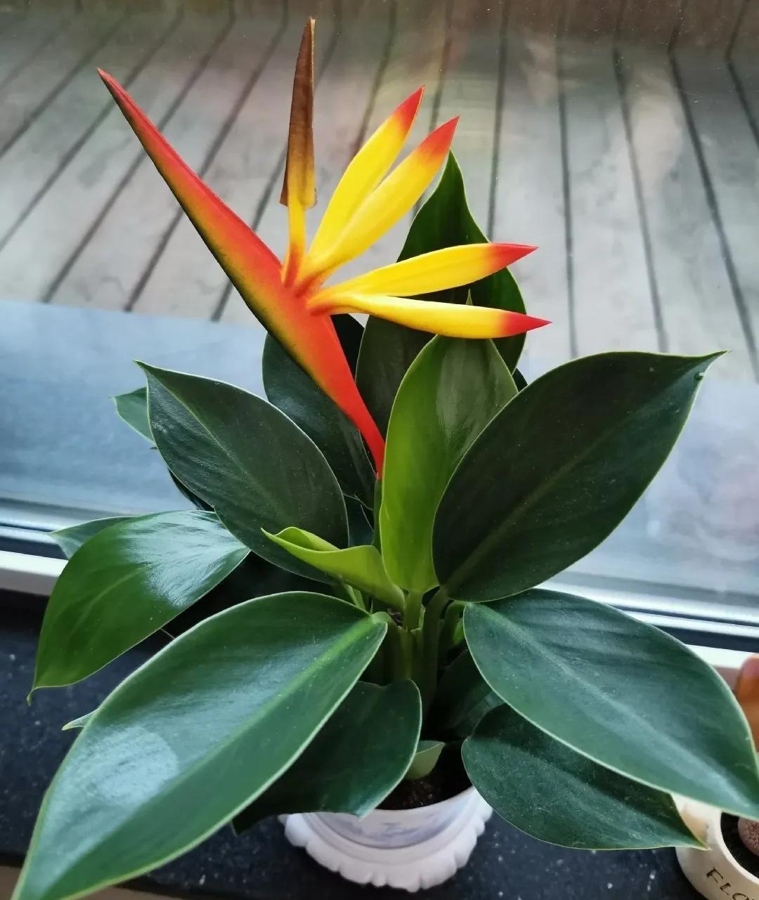 教你如何避开假货买到真品,一张图告诉你怎样分辨假货