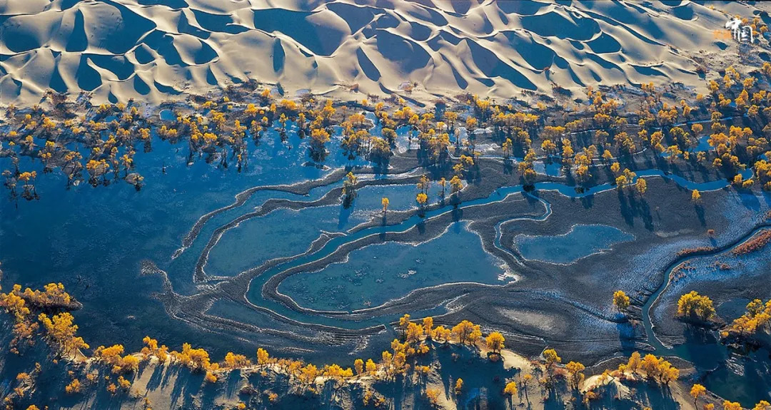 新疆和田夜市什么美食最好吃,和田夜市哪家的胡辣羊蹄好吃