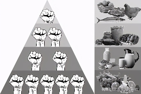 中国营养学会食物相生相克表,营养健康的食物搭配原则医学讲解