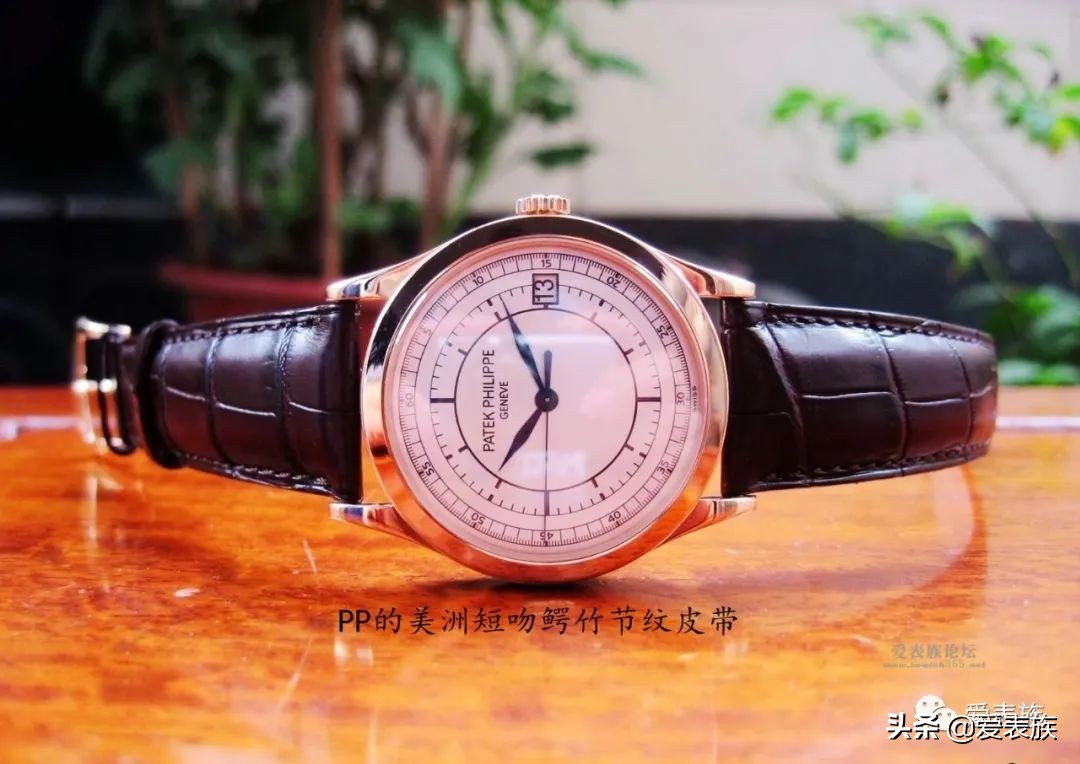 皮带皮料知识大全,皮表带跟钢表带如何选择