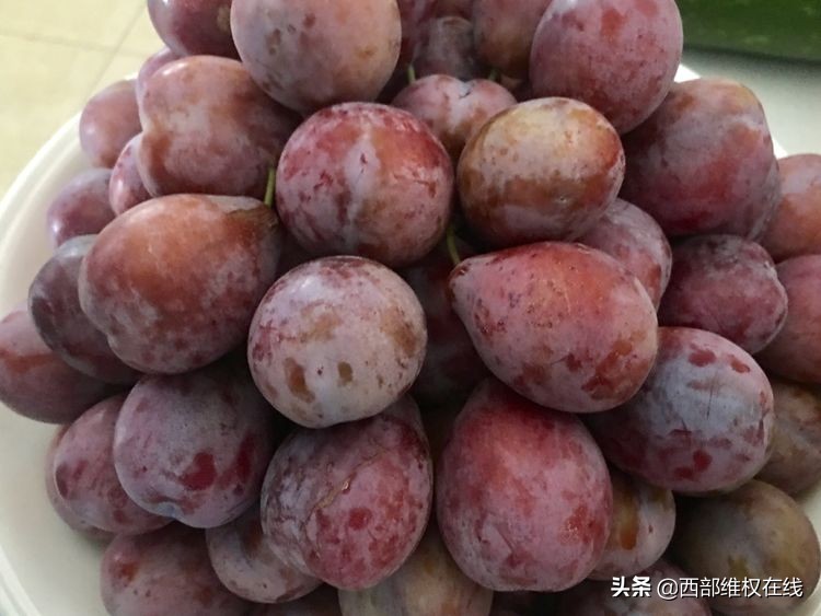 陕西：大茘扶贫农产品亮相北京