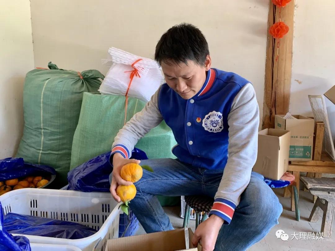 80后小伙网上卖野果,大理80后小伙