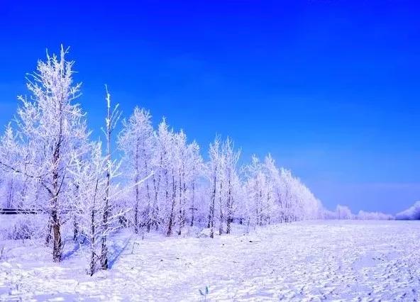 此生必去看一次雾凇太美了,此生必去看一次雾凇简直要美哭了