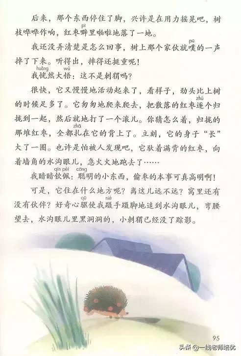 带刺的朋友三年级上册,三年级语文带刺的朋友课文知识点