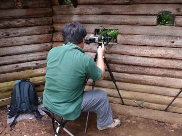 拍鸟平民镜头,业余爱好拍鸟装备