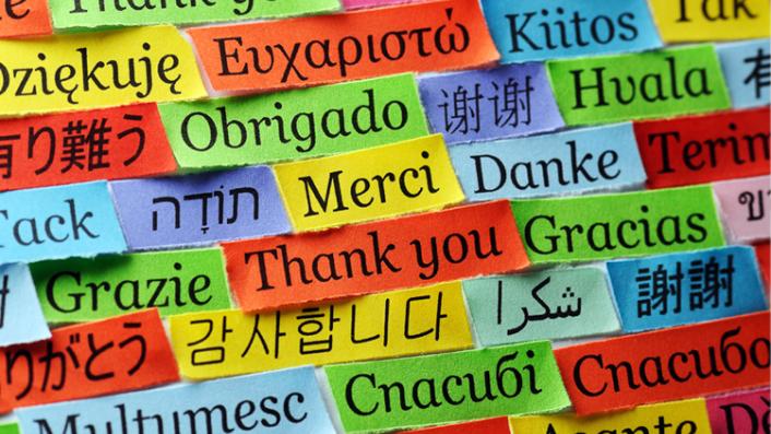 欧洲怎样有这么多语言,为什么有人说欧洲的语言是方言