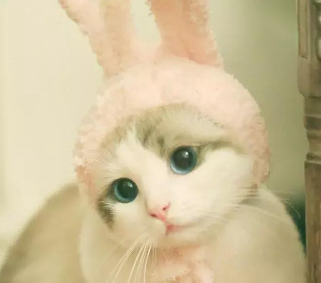 只要不停产就会无限回购的护肤品,只要不断货就一直卖的水乳