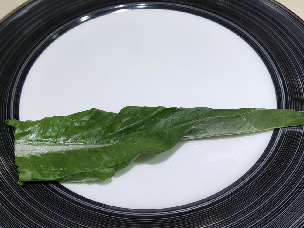 美的冰箱545性能,美的冰箱545星河紫