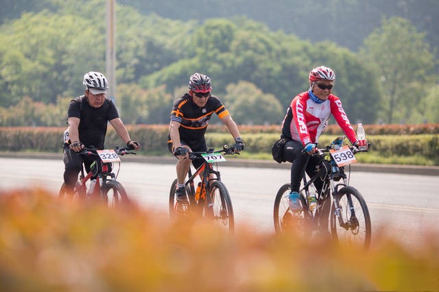 巢湖特价租车60元一天,骑行环巢湖攻略