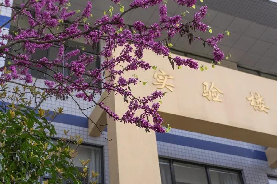 安徽合肥大学二本院校,安徽合肥工业大学