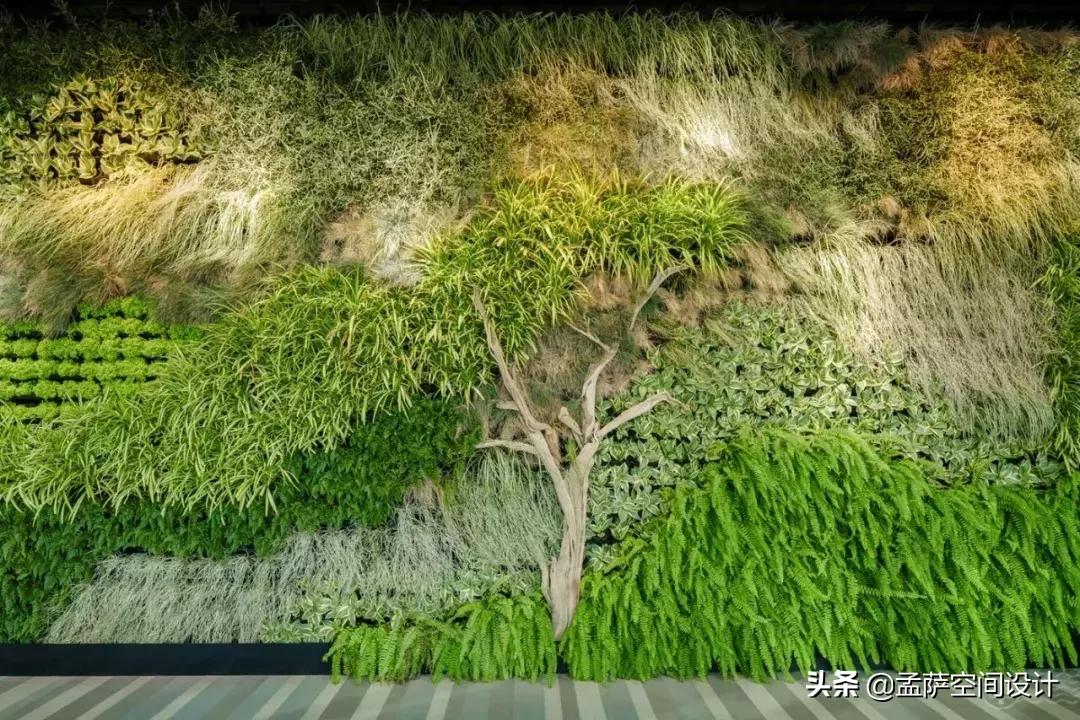 科威特四季酒店前厅图片,科威特酒店设计