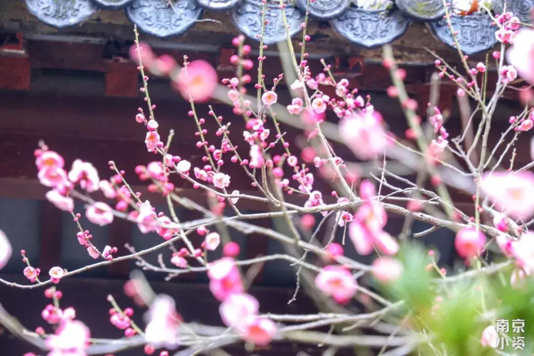 雨花台是雨花区吗,雨花台是中山陵吗