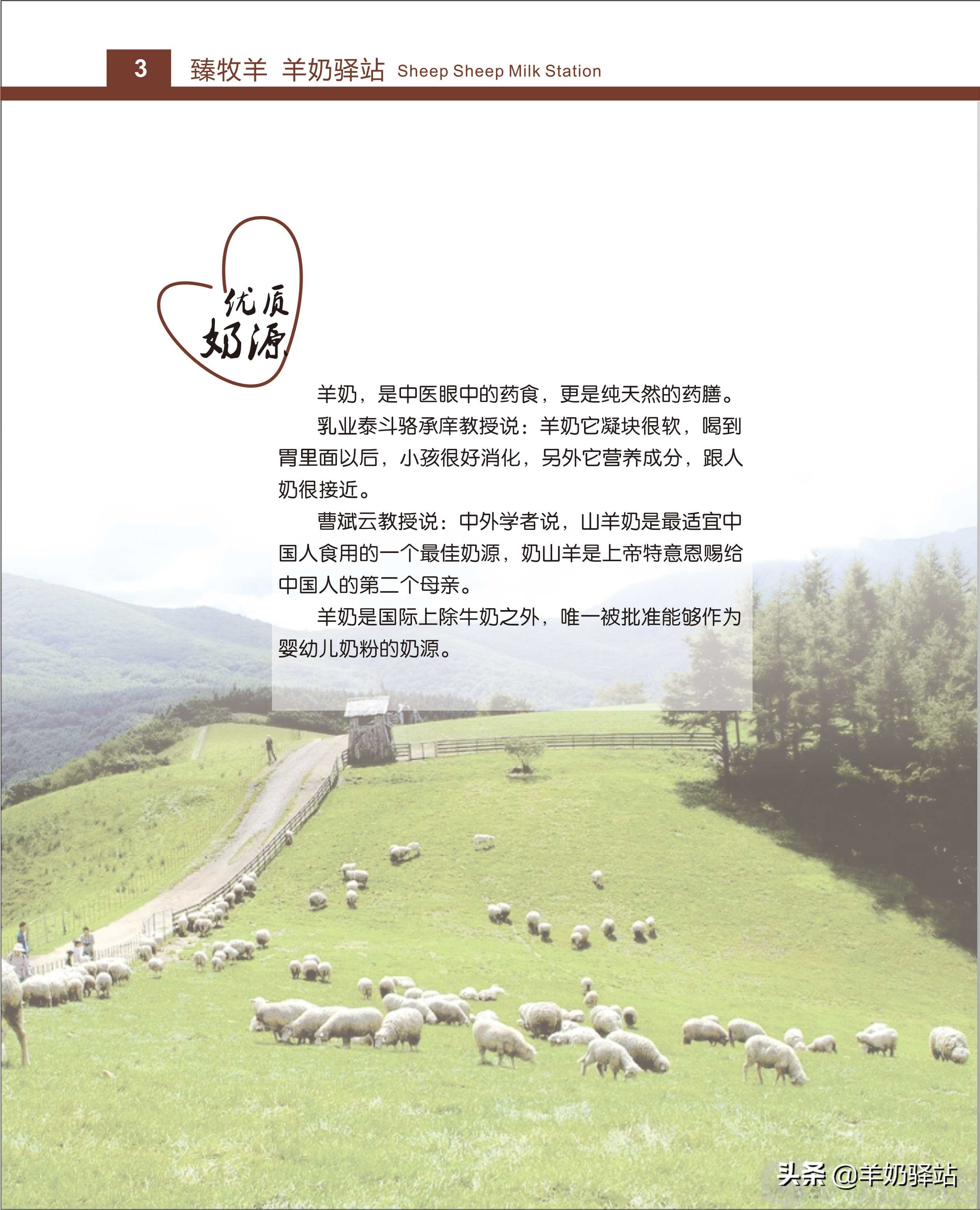 臻牧羊羊奶驿站运营模式,羊奶加盟连锁扶持排行榜