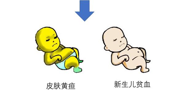 黄疸吐出来了怎么回事,新生儿黄疸是怎么回事