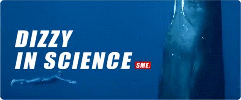 盘点那些巨大到让人害怕的雕像,那些被藏在森林里的巨大雕像