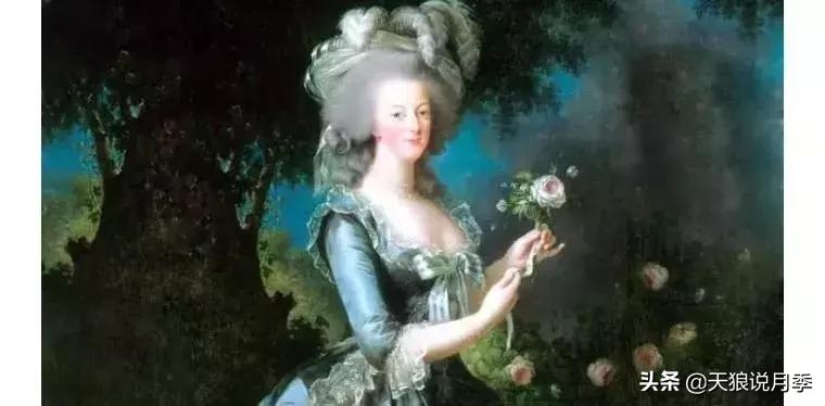 古老月季的魅力,40种中国古老月季