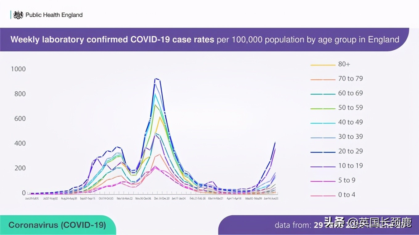 鲍里斯对英国的态度,英国鲍里斯现在怎样了