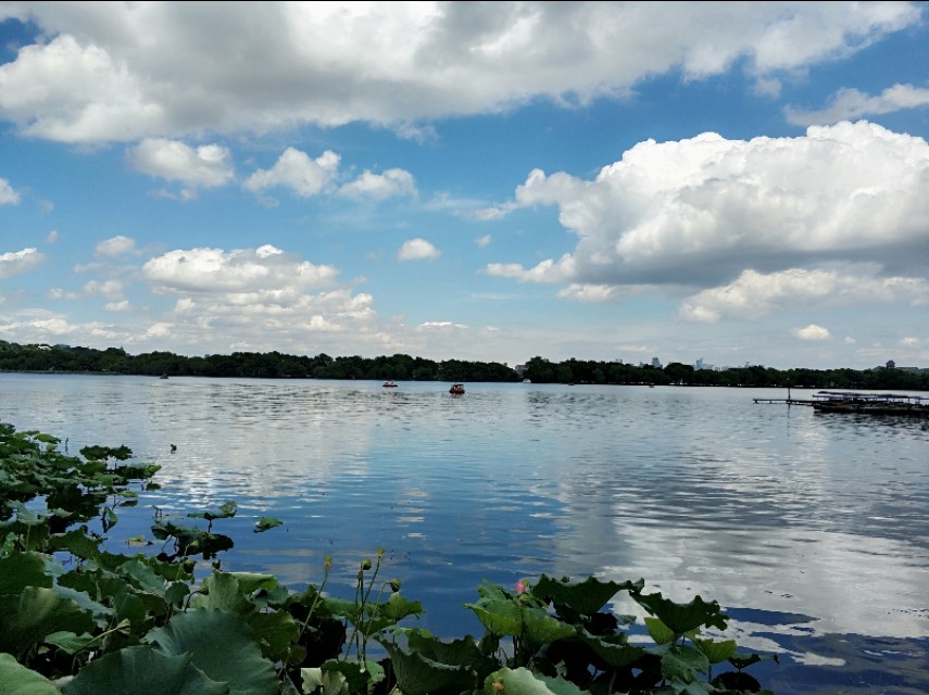 杭州西湖景点郭庄视频,杭州郭庄园林