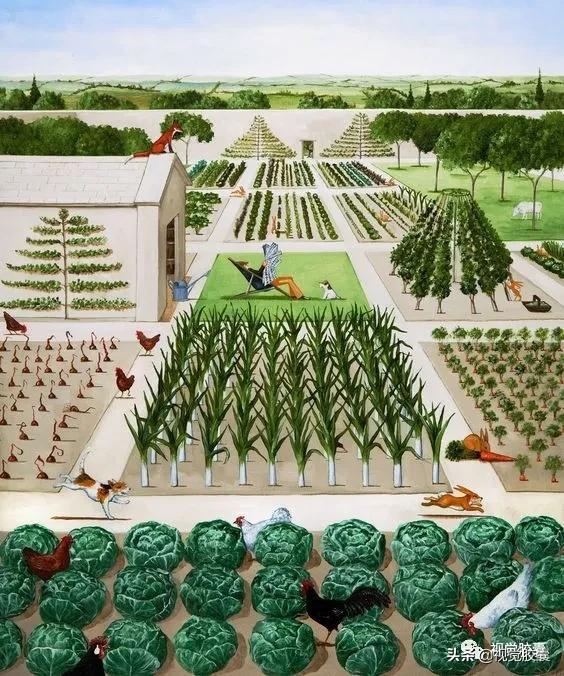 乡村蔬菜大棚的设计,蔬菜精美设计图片