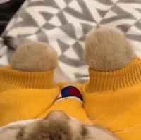 ins穿搭博主简单高级,ins博主教你怎么穿搭