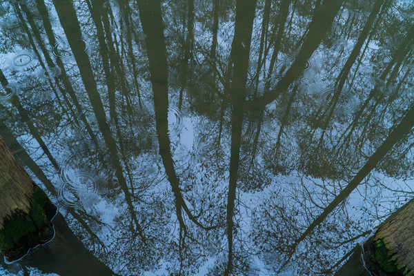 踏春赏花正当时，打卡千垛水上油菜花！玩转兴化景点美食全攻略