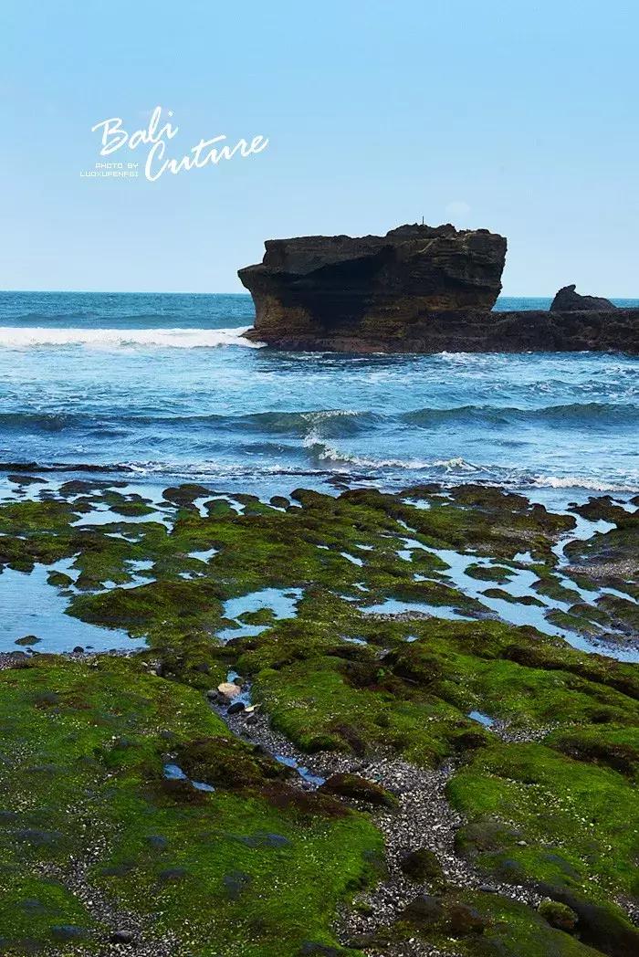 999玩转巴厘究竟嗨不嗨:香遇巴厘,南太平洋的风与海