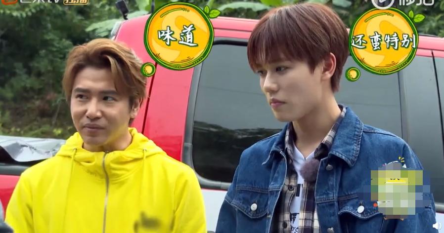 林彦俊吃蜘蛛,林彦俊野生厨房吃蜘蛛