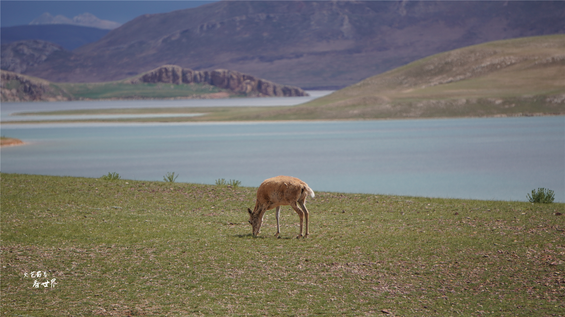 西藏最美十大湖,西藏最美的八大湖