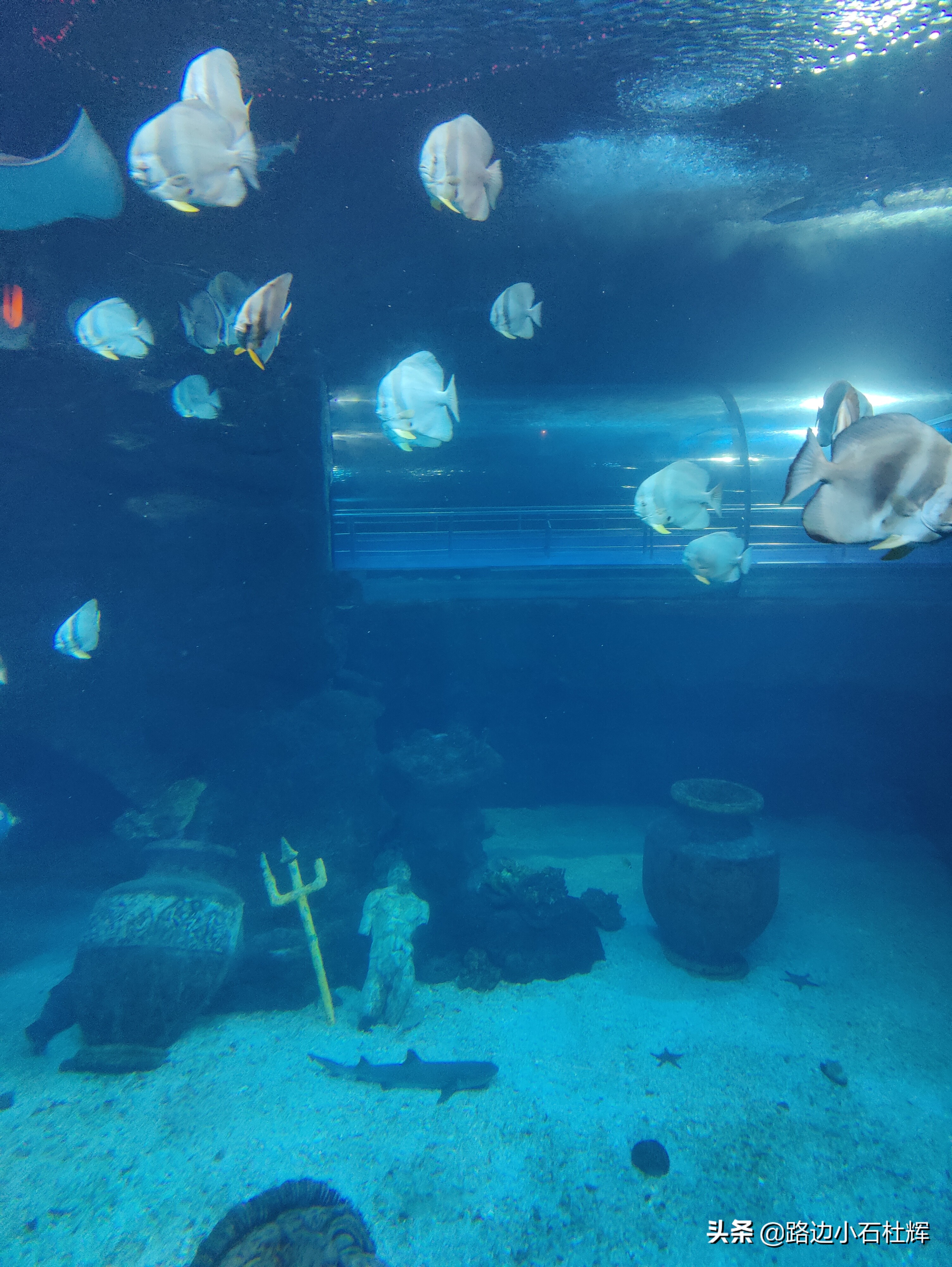 北京海洋馆海底世界游玩攻略,海洋馆北京海底世界游玩路线