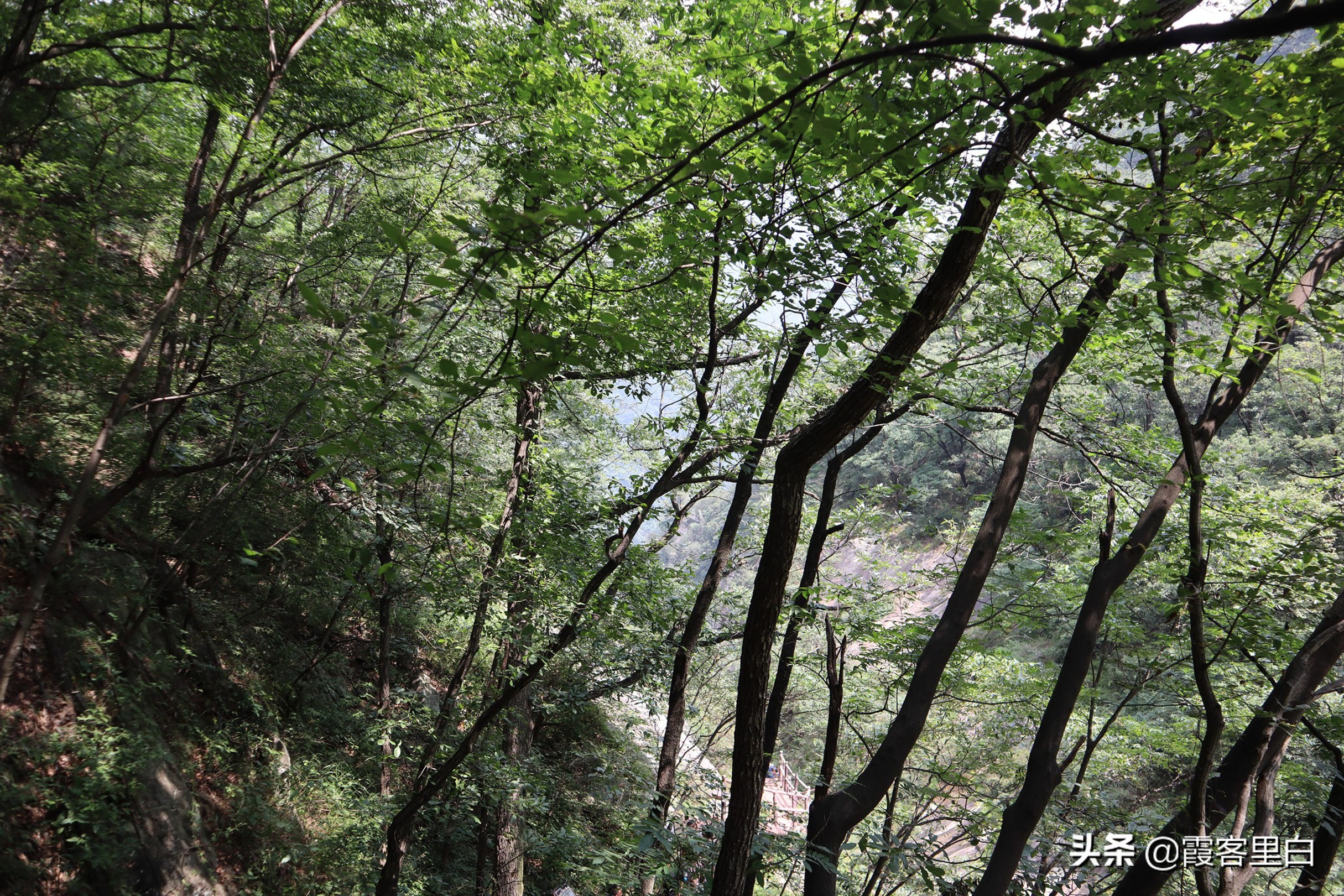 南召宝天曼旅游视频,南召宝天曼游览图