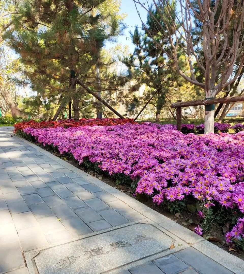 天坛附近公园有哪些,天坛公园周边有什么可逛的