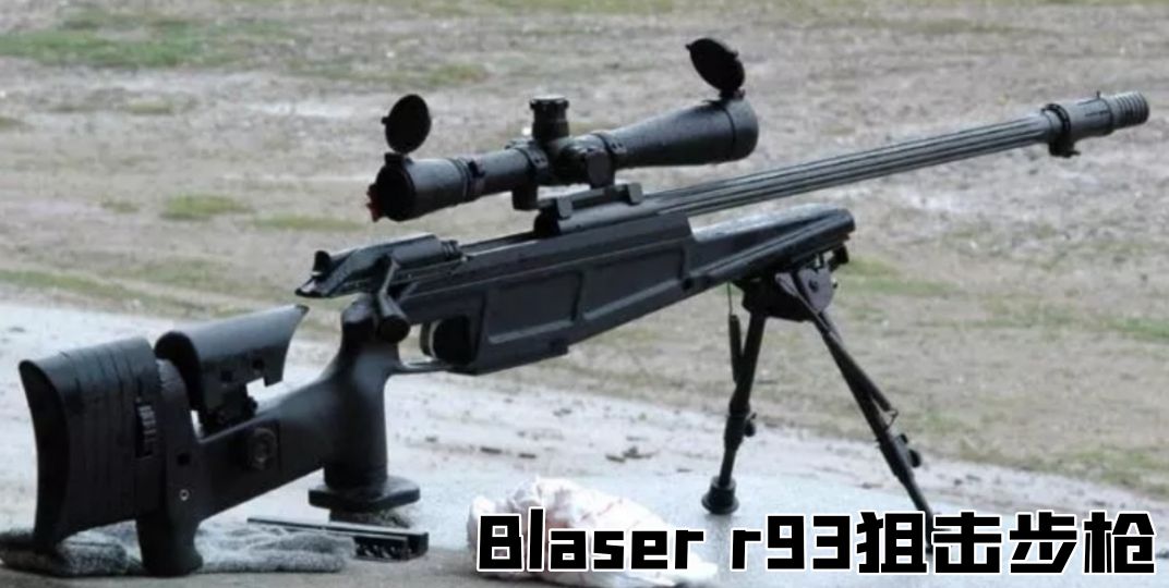 英国枪史图册全篇,德国枪图片