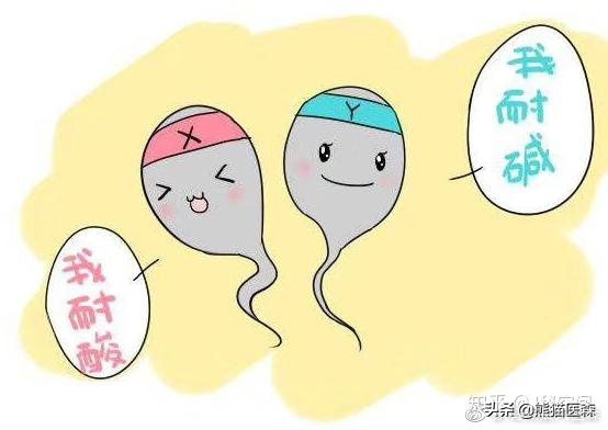 给我三分钟，一起读懂你的精液