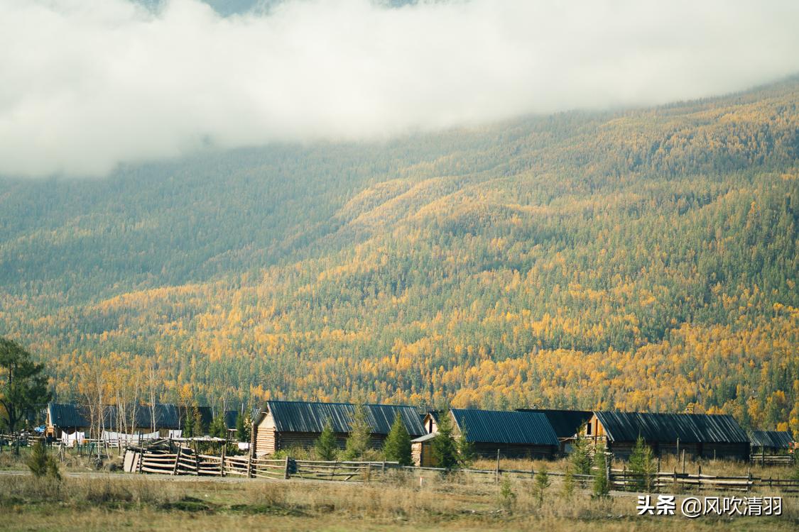 真实新疆人的生活视频,新疆人的生活好精致
