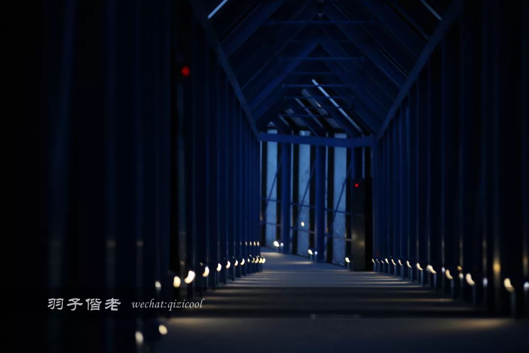 日本10天自由行费用北海道,东京北海道5日自由行攻略