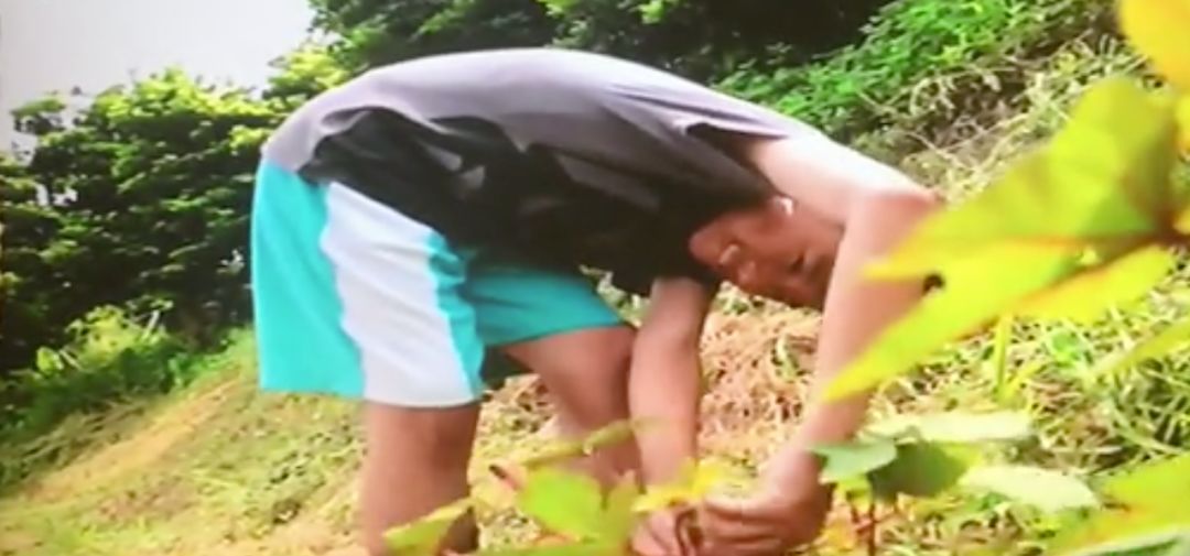 年仅20岁北美高材生张一得自杀去世，网红单亲爸爸遭质疑