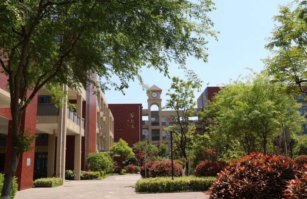 金中岱山教育集团,金中岱山东校区