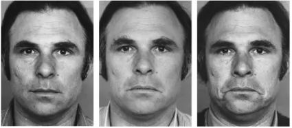 facs的全称是什么,facs面部编码系统