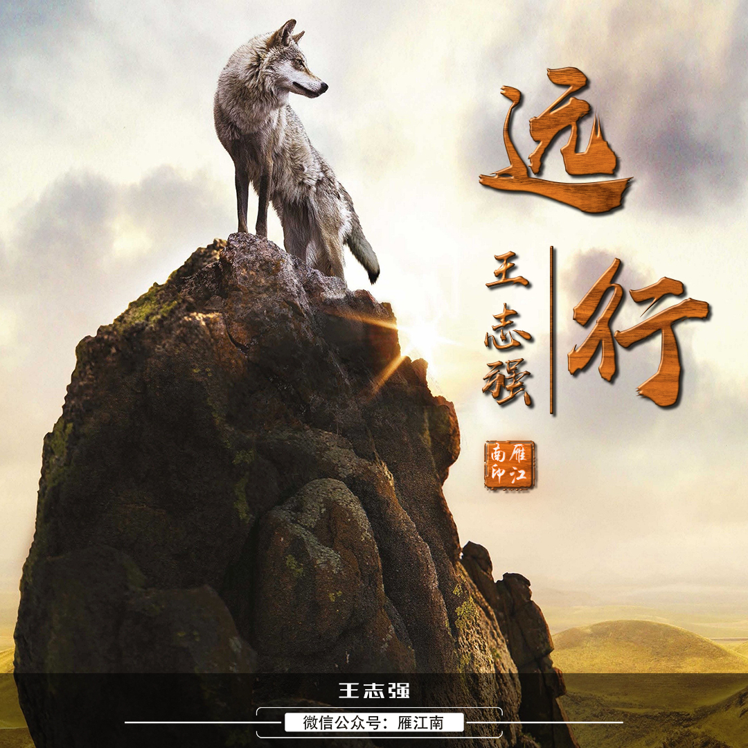 狼回头微信头像100张霸气,微信狼图腾头像