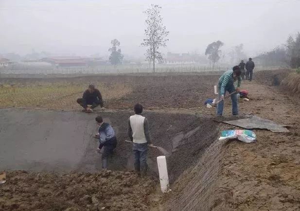 水产养殖池漏水处理方法,池塘渗水漏水怎么办