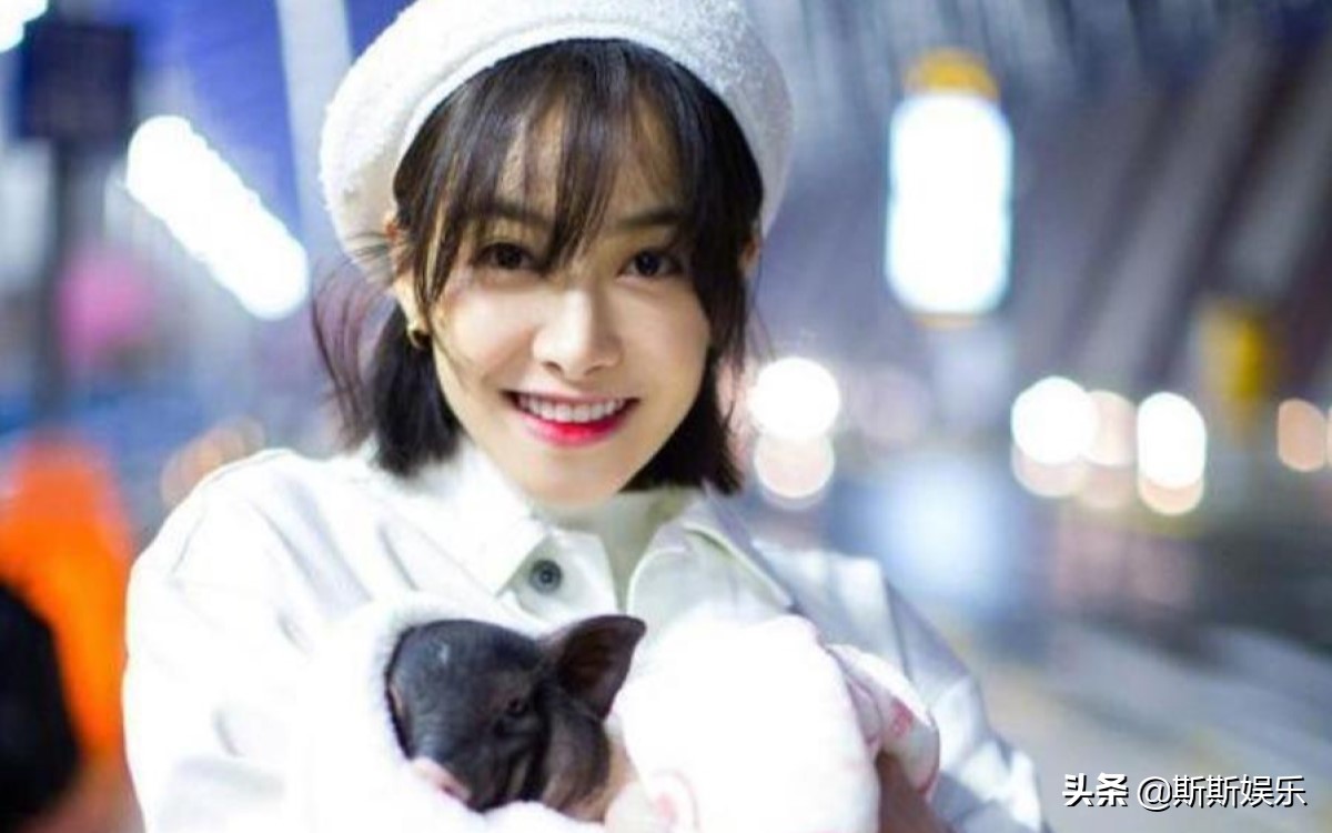 宋茜送医院,宋茜带宠物猪扫楼