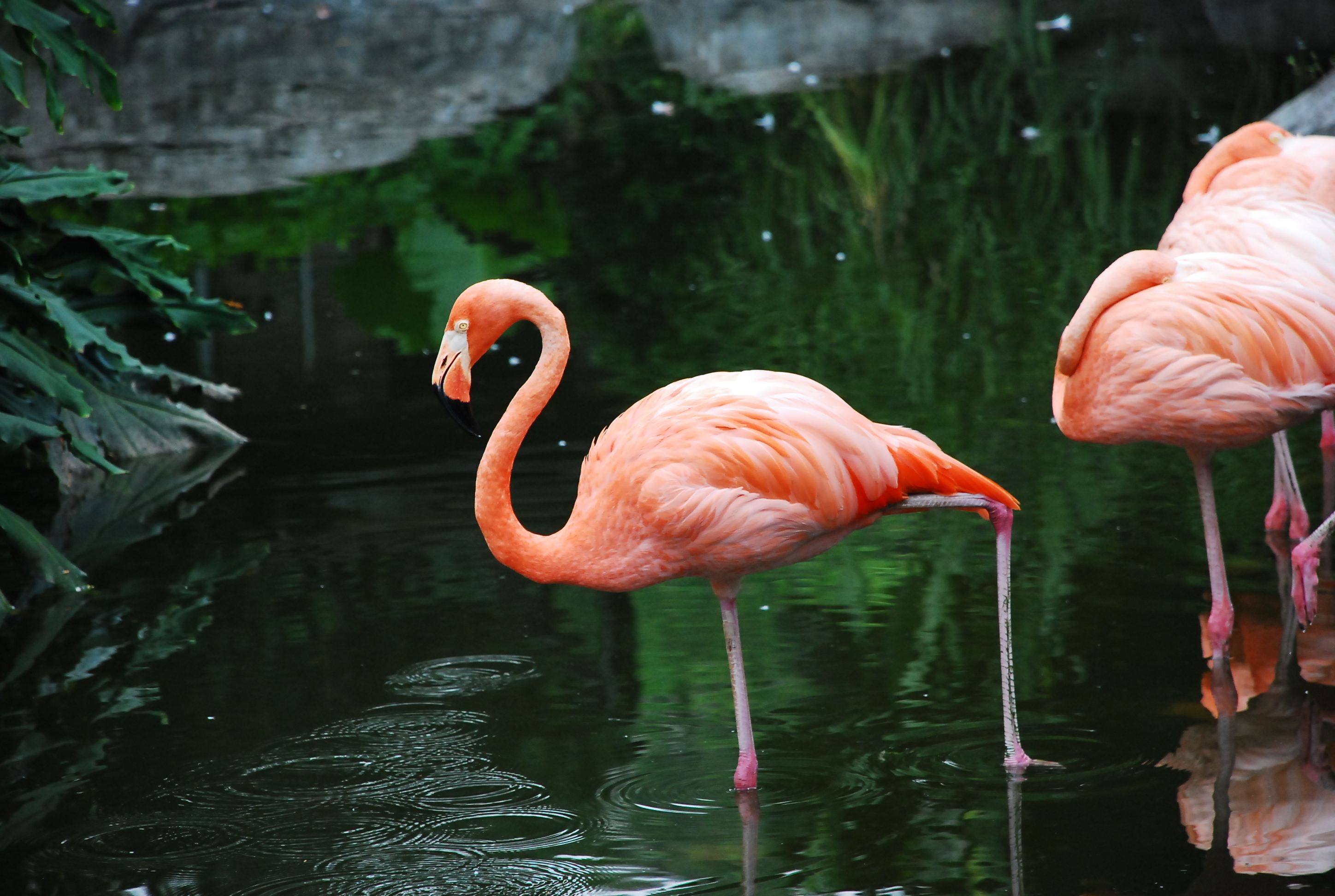 广州4a级景区旅游景点,广州5a旅游景区名单大全