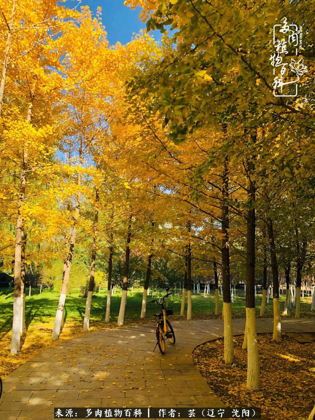 万物皆有灵性有因必有果,万物皆有灵性与生命