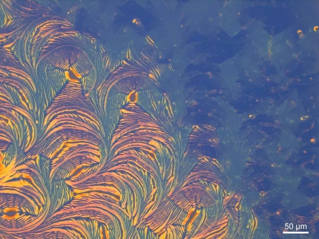 绉戠爺澹佺焊,绉戠爺浜虹殑鏂板勾澹佺焊