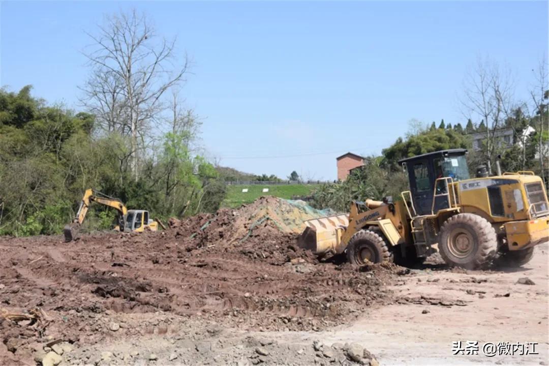 见证奇迹会发现什么,见证奇迹最新