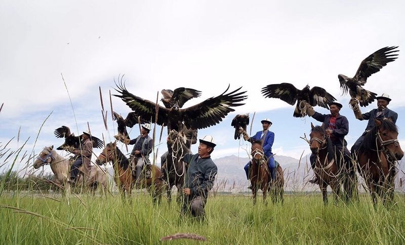 *疆新**阿合奇县：相守4000年的约定，委屈了自己，也不能饿着鹰