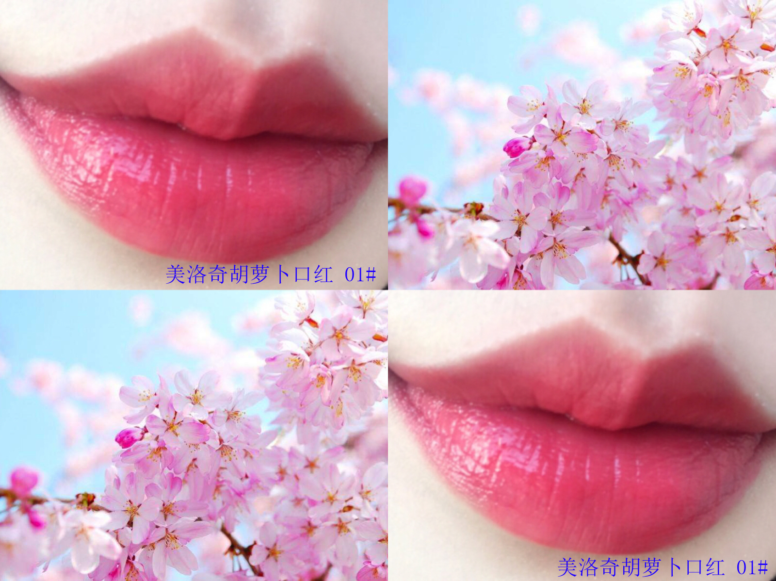 学生*党**必备，超高性价比亲民口红，变美省钱，两不耽误