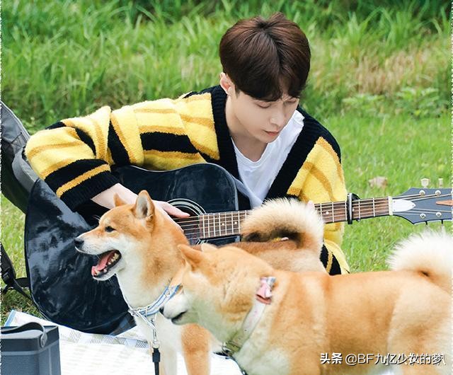 向往的生活第五季张艺兴钢琴曲,向往的生活第五季张艺兴唱歌