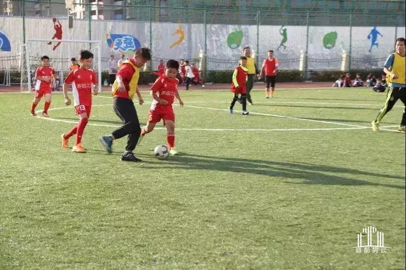 郑州各区小学教育资源排名,郑州经开区龙美小学怎么样